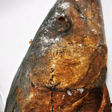 Barracuda fumé