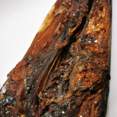 Barracuda fumé