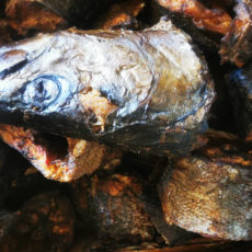 Barracuda fumé